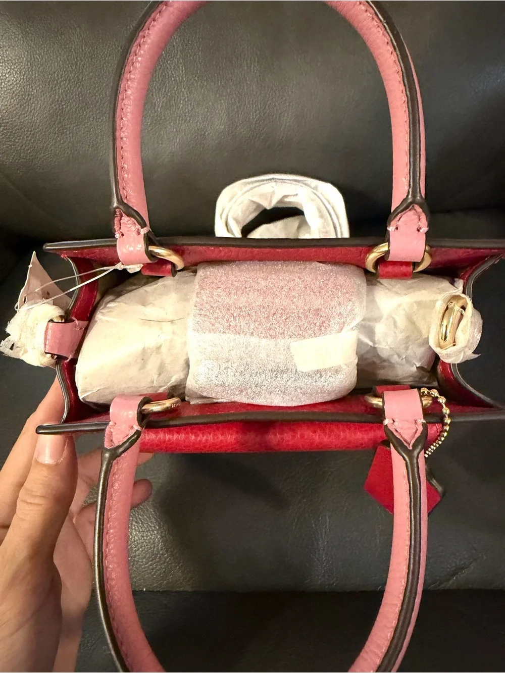 NWT Coach Mini Pepper Crossbody Bag